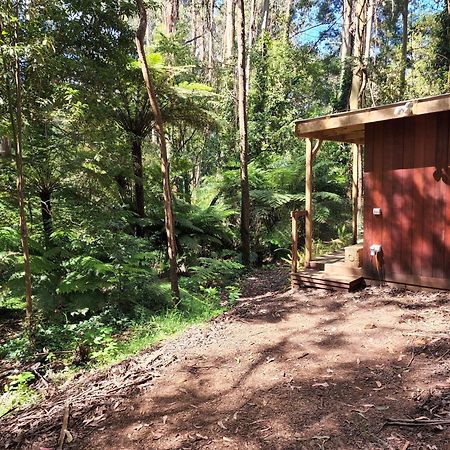 The Fernglen Forest Retreat マウント・ダンデノン エクステリア 写真