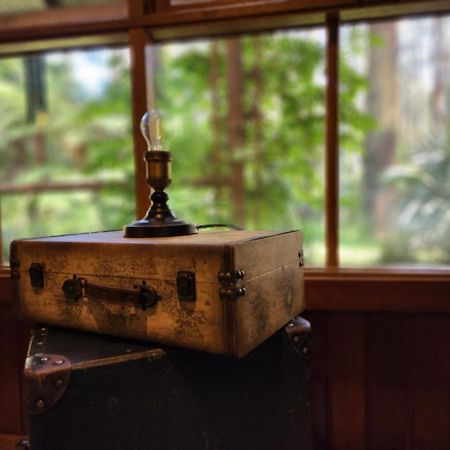 The Fernglen Forest Retreat マウント・ダンデノン エクステリア 写真