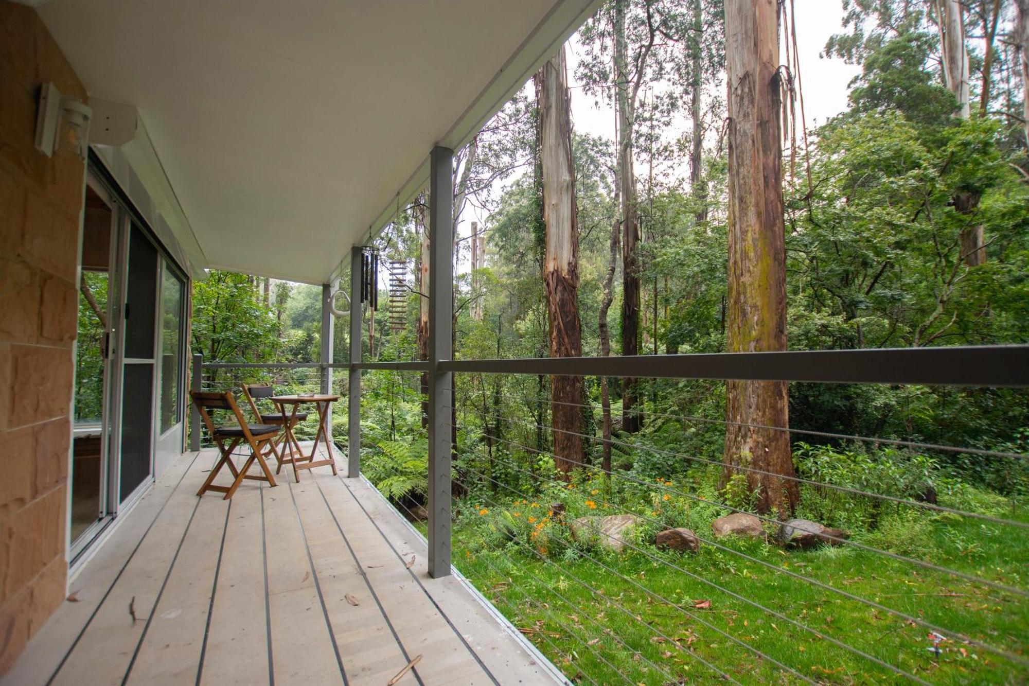 The Fernglen Forest Retreat マウント・ダンデノン エクステリア 写真