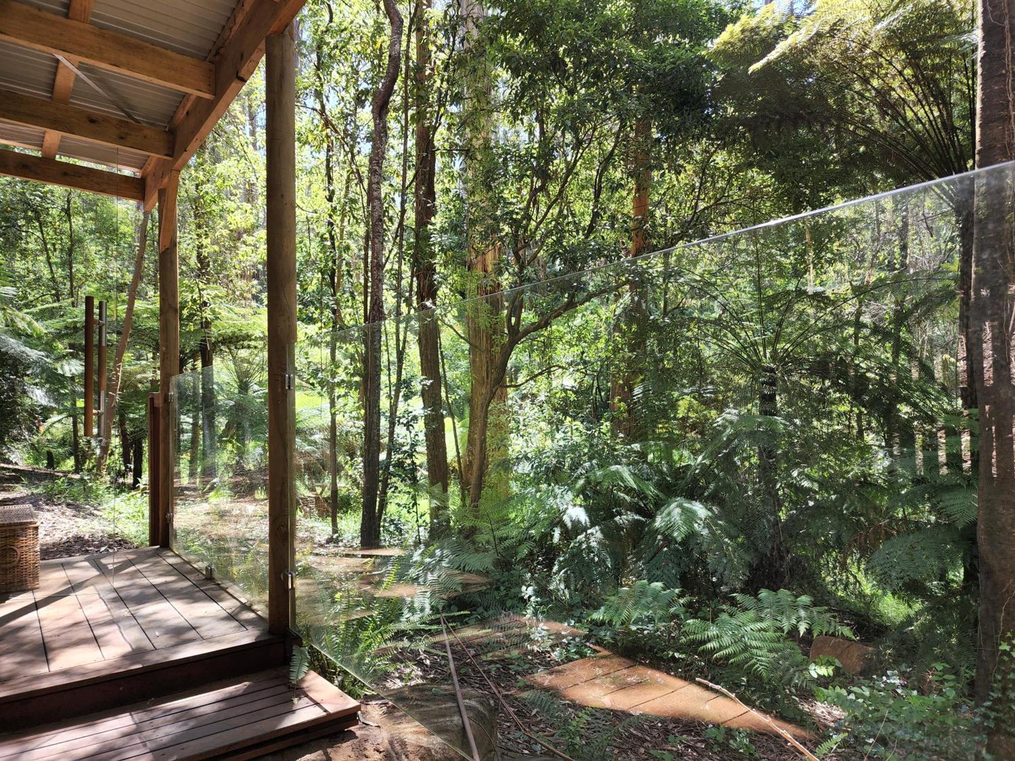 The Fernglen Forest Retreat マウント・ダンデノン エクステリア 写真