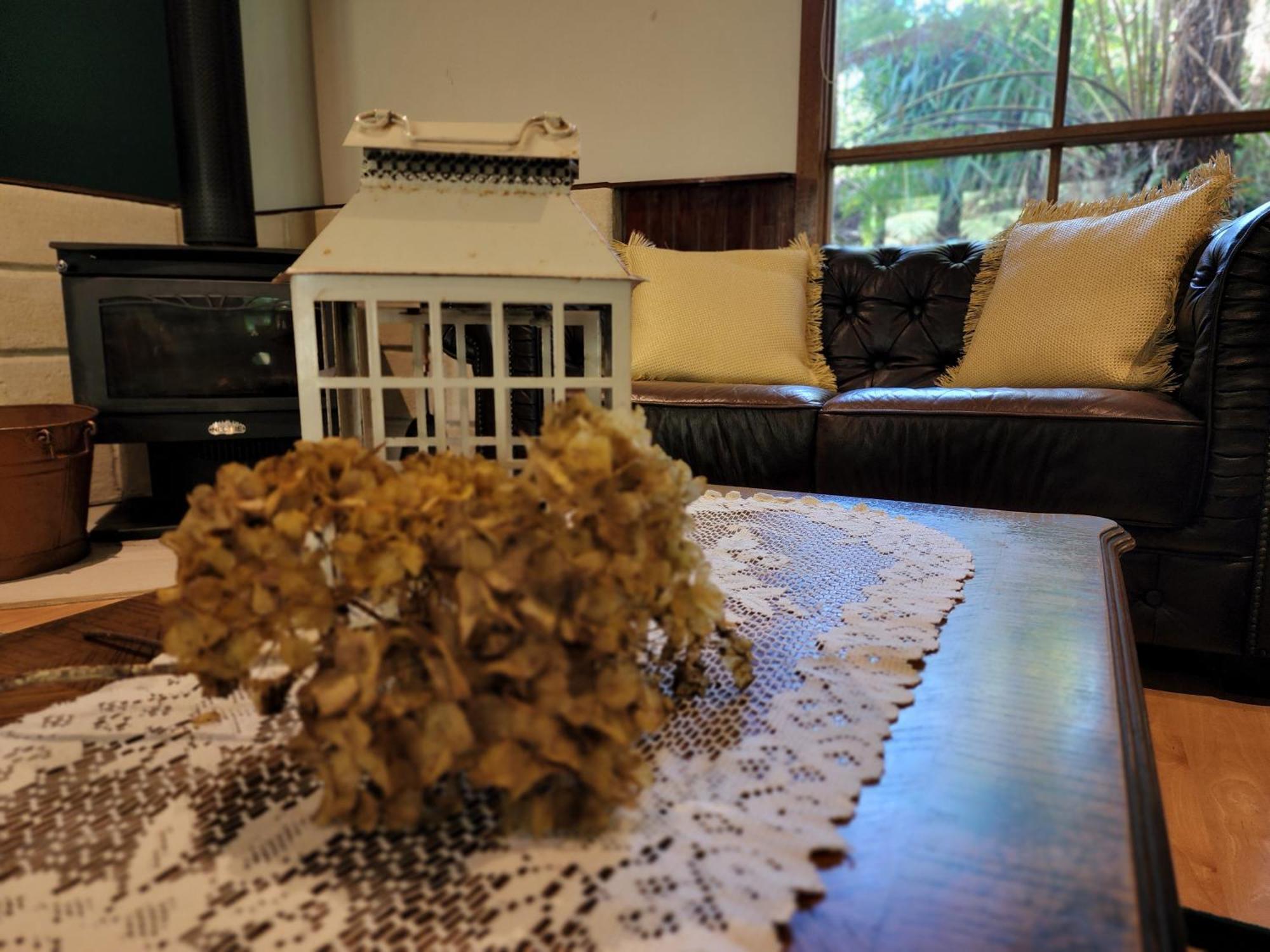 The Fernglen Forest Retreat マウント・ダンデノン エクステリア 写真