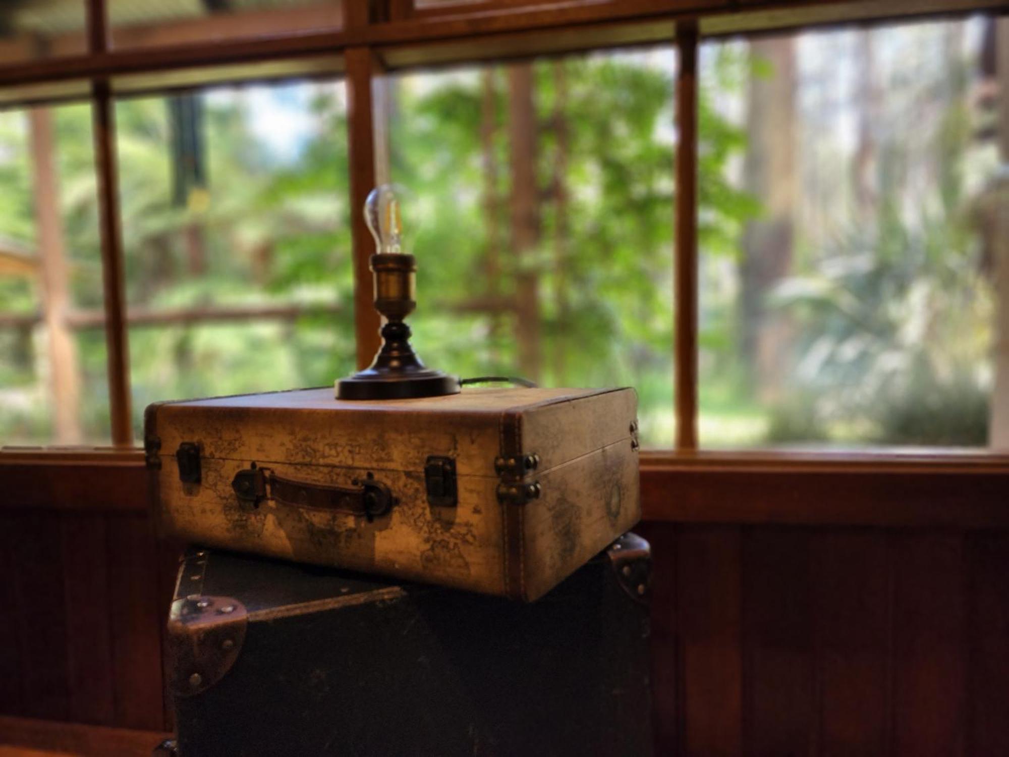 The Fernglen Forest Retreat マウント・ダンデノン エクステリア 写真