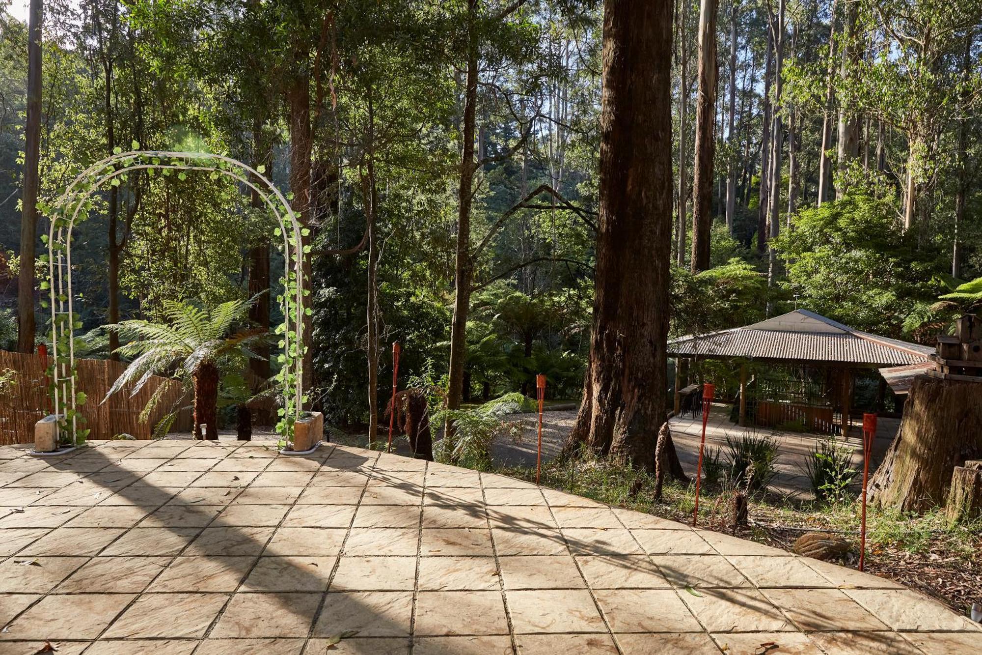The Fernglen Forest Retreat マウント・ダンデノン エクステリア 写真